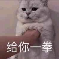 给你一拳