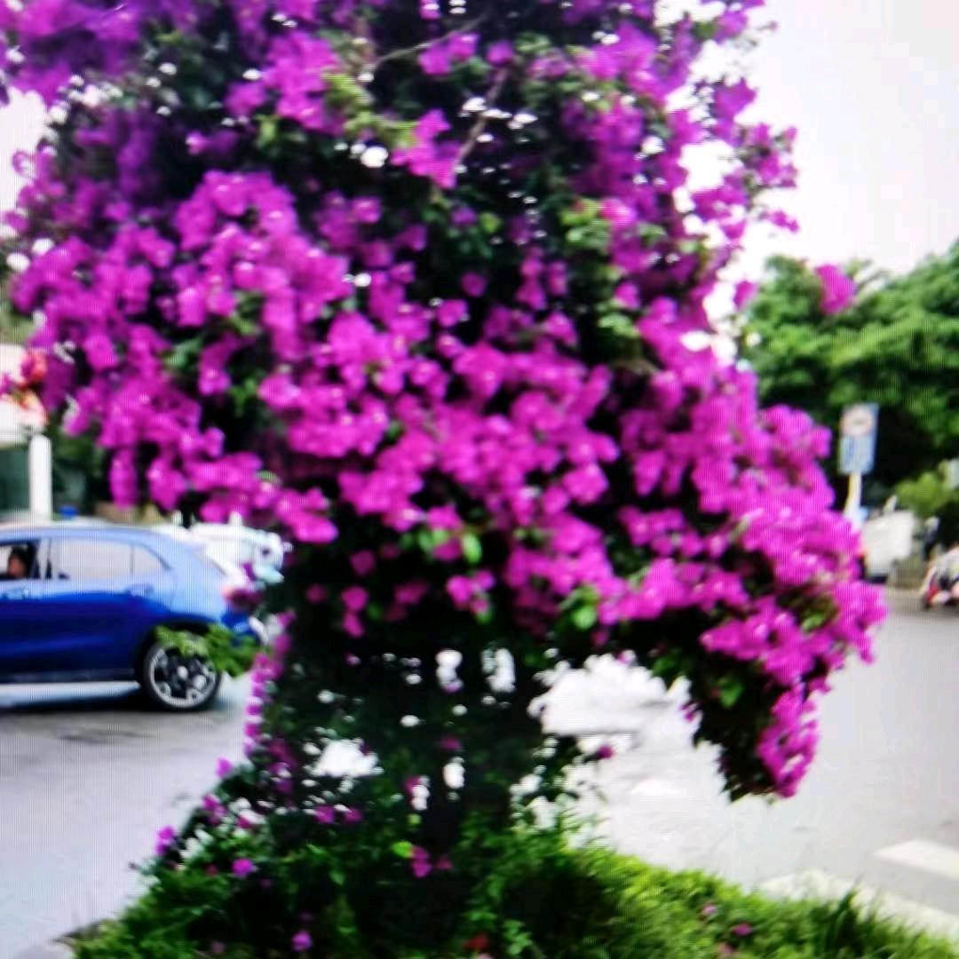 单亲姐，从头再来，70后的我，