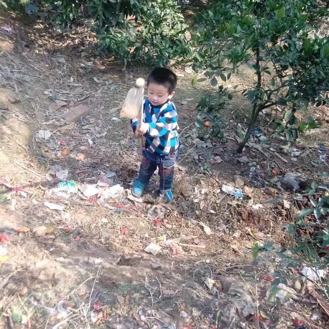 带上蛤蟆去流浪
