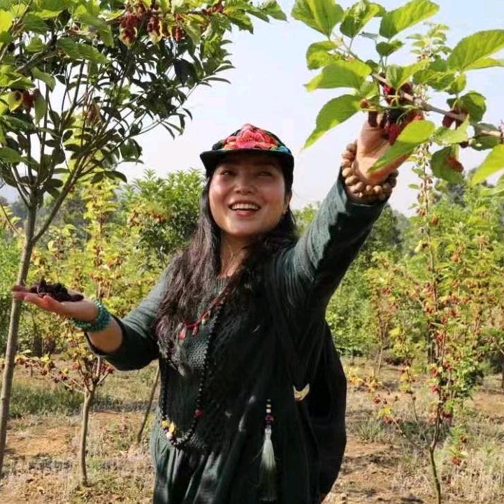 成都王英姐