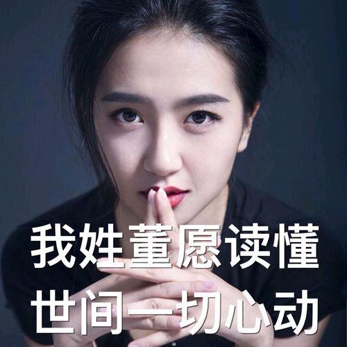 董非懂