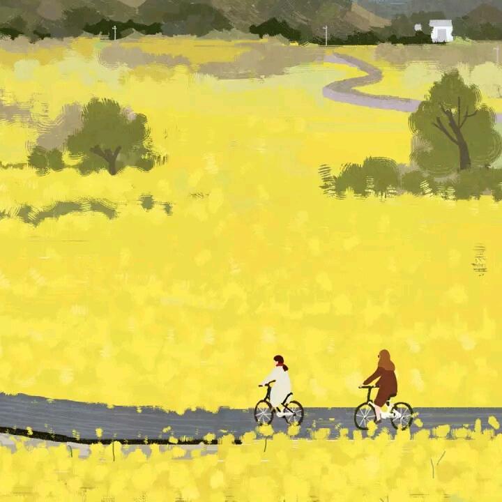 娇娇