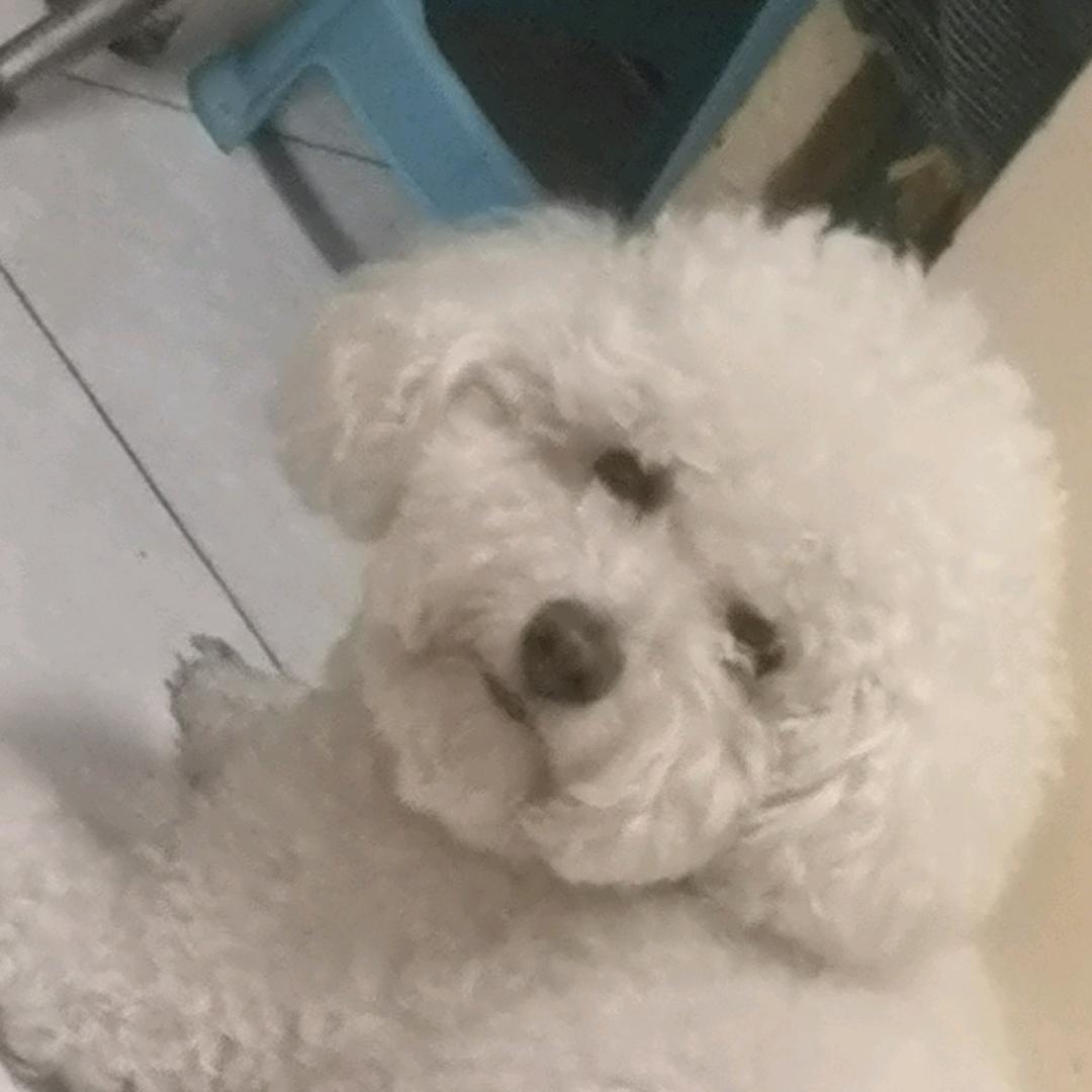 T•