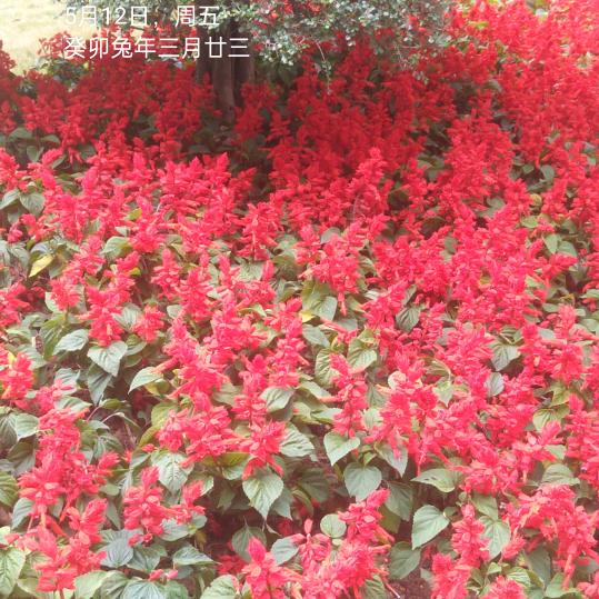 农夫秀才