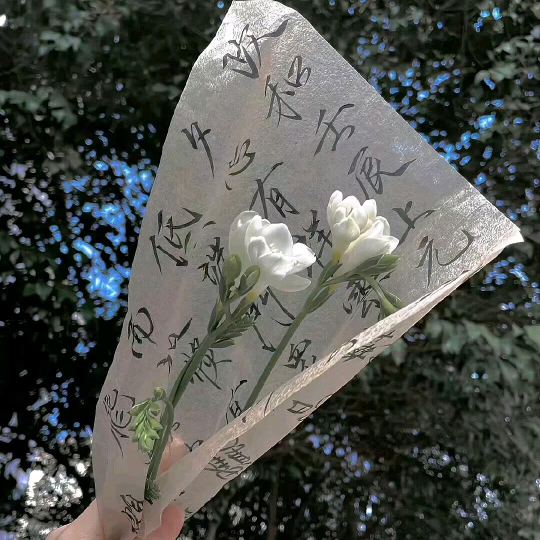 菜菜🥬.