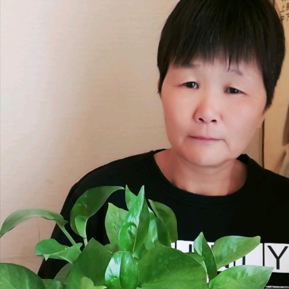 农村金姐