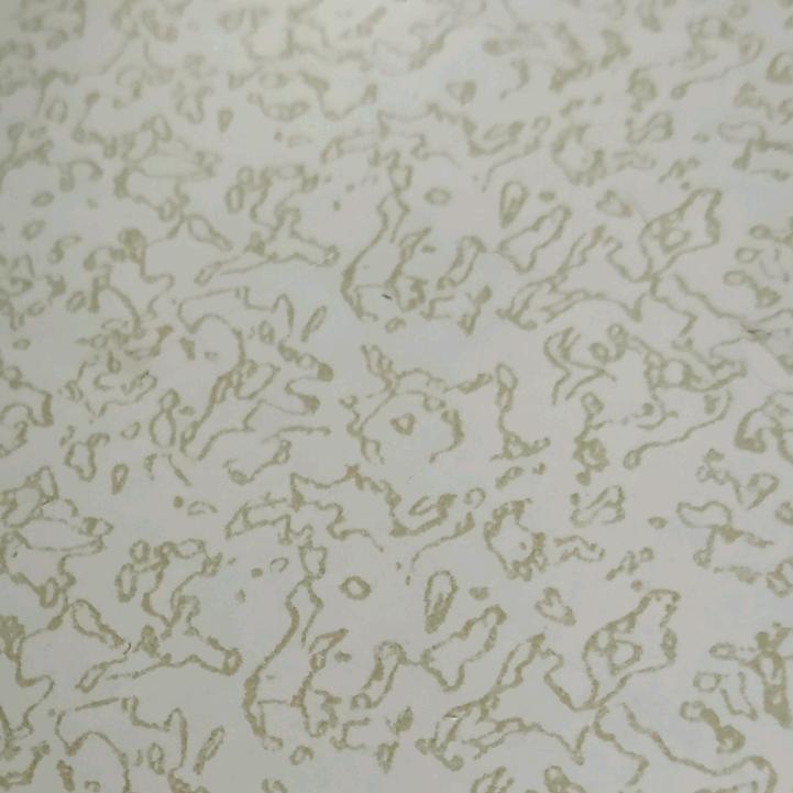 夏天来了lj