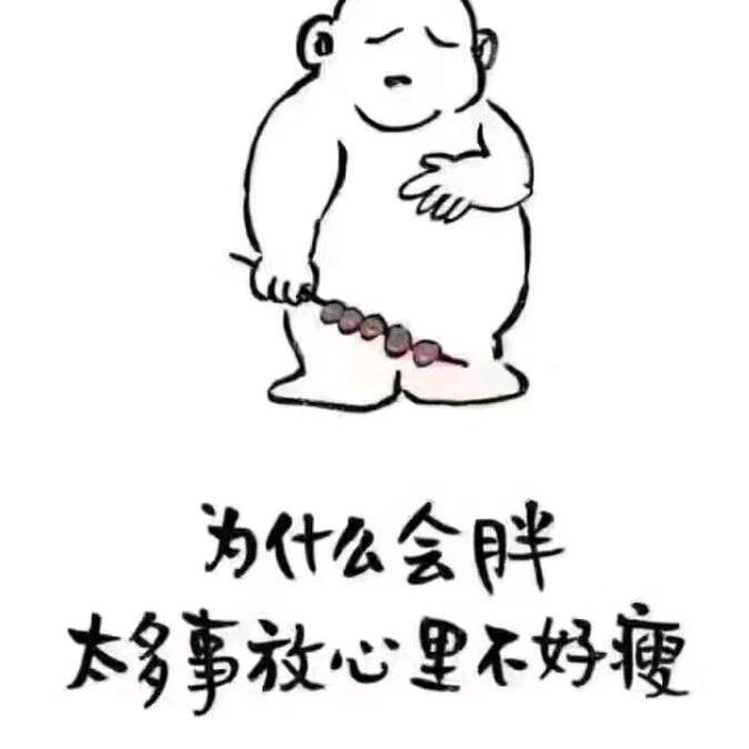 小趴菜☀