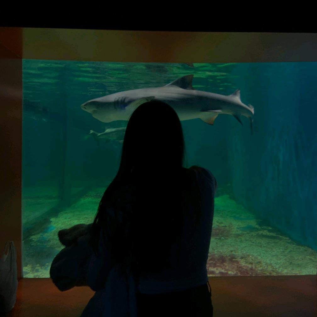 人民币多几张女士🌈