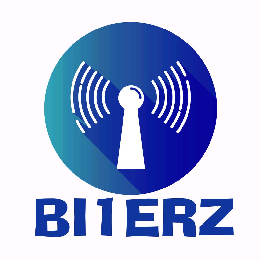 BI1ERZ-741