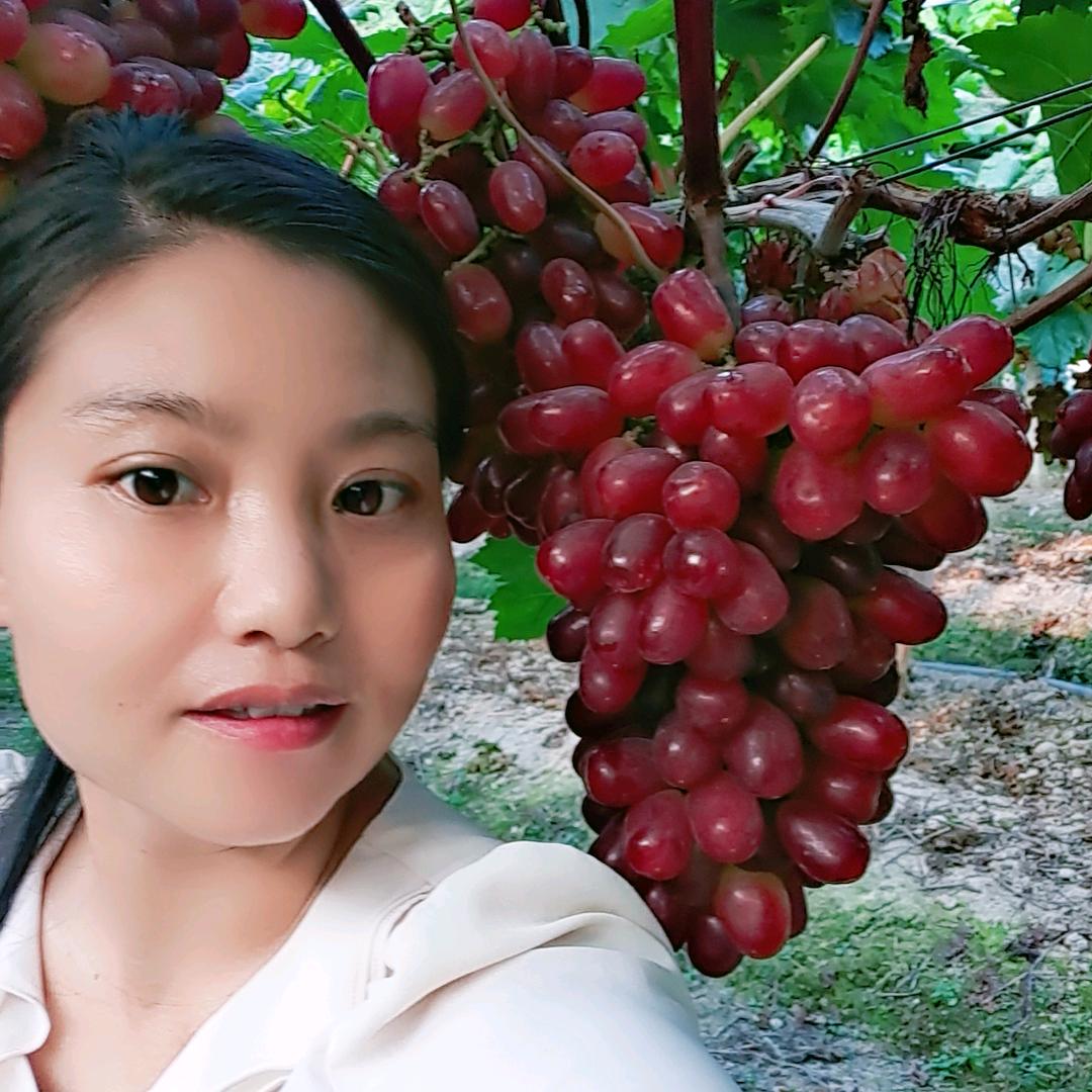 葡萄姐