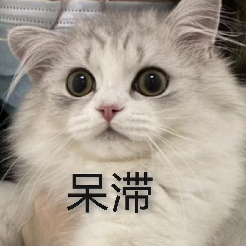 高，实在是高啊