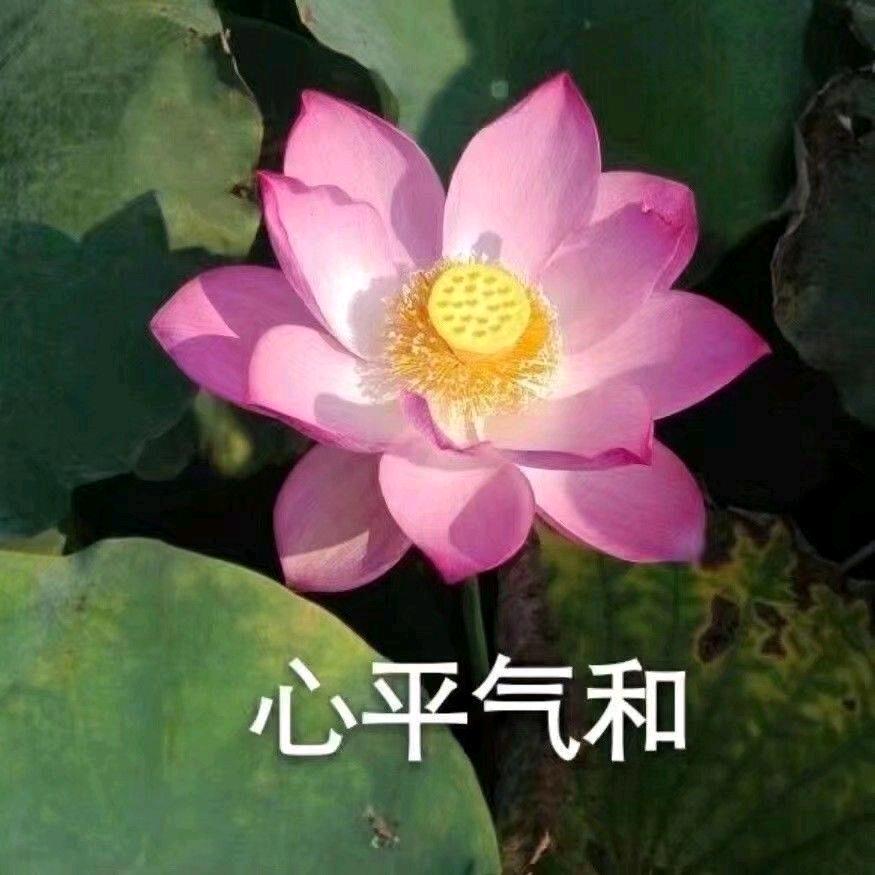 祝各位天天开心