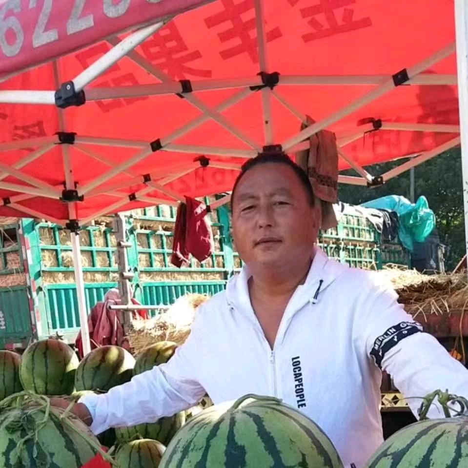 单身西瓜四哥  （ 等待有缘人）