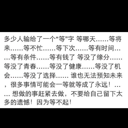 爱钓鱼的小猫