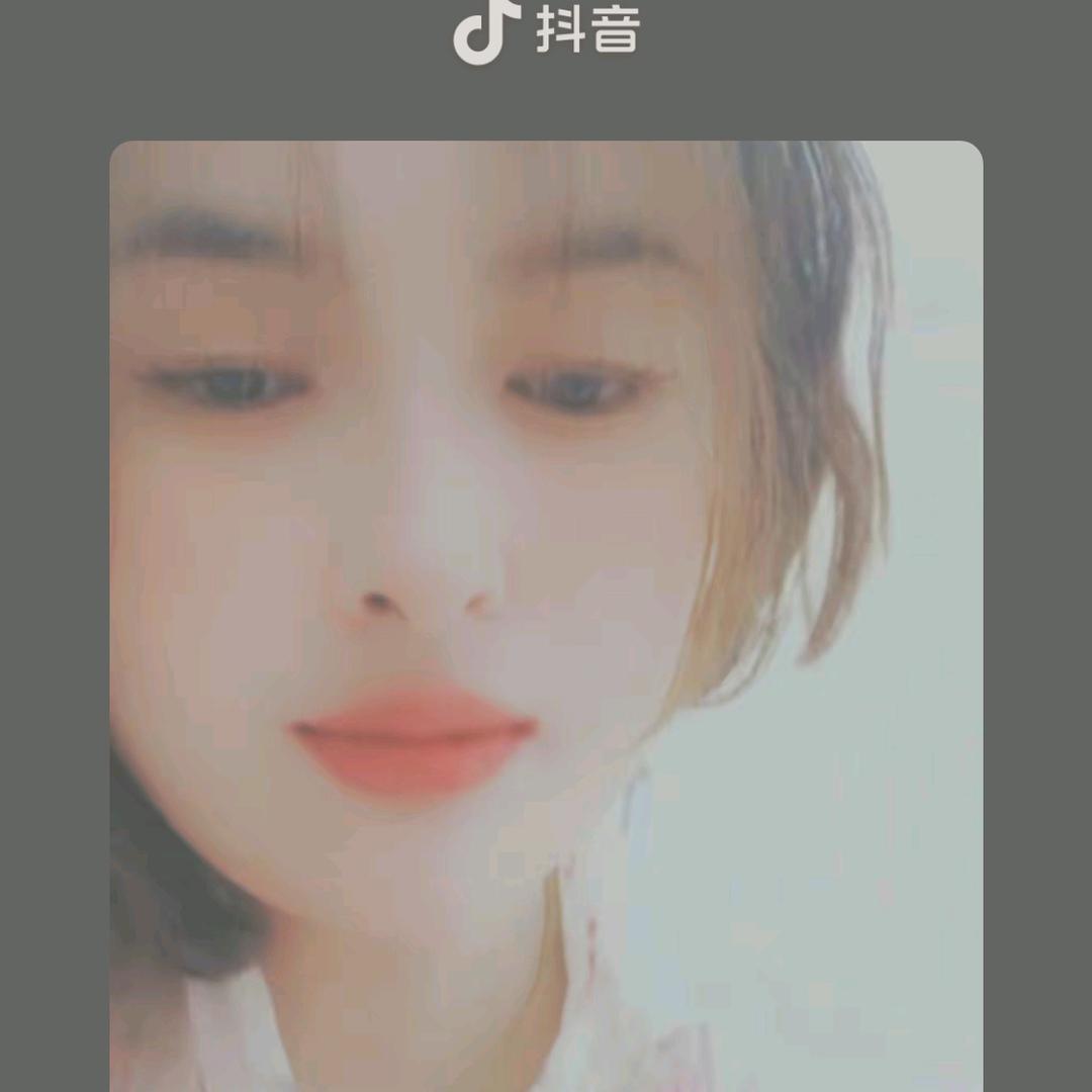 一只松树兰