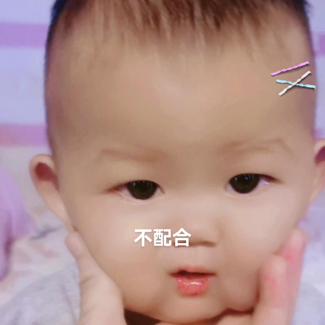 菜葫芦