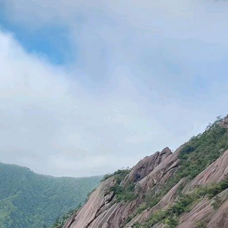 随风旅行