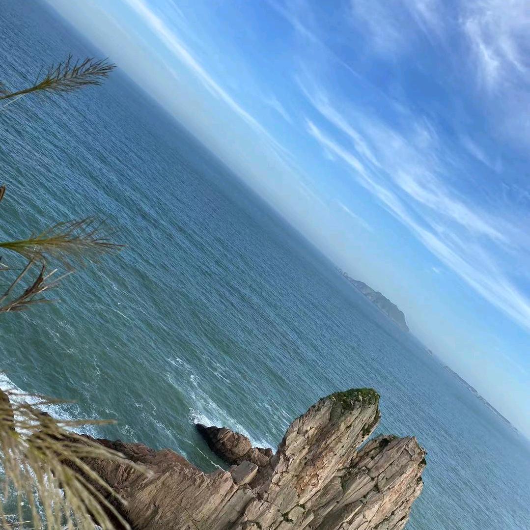 三分拽七分酷（好物在橱窗）