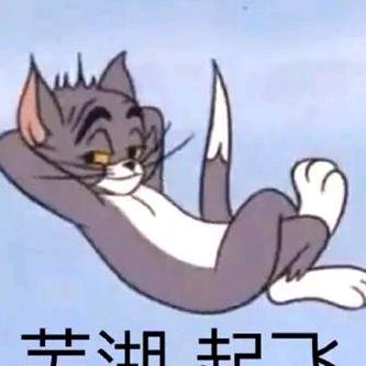 飞行艇