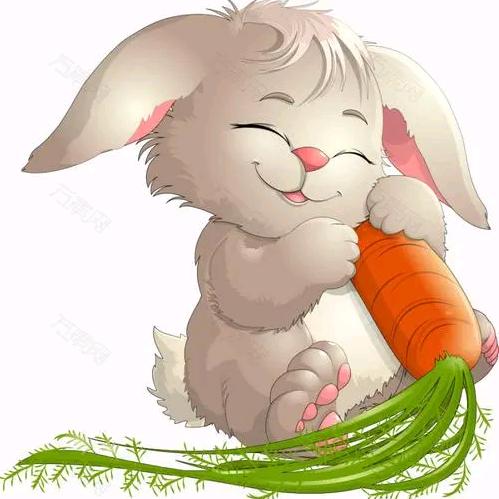 北辰星（小北）