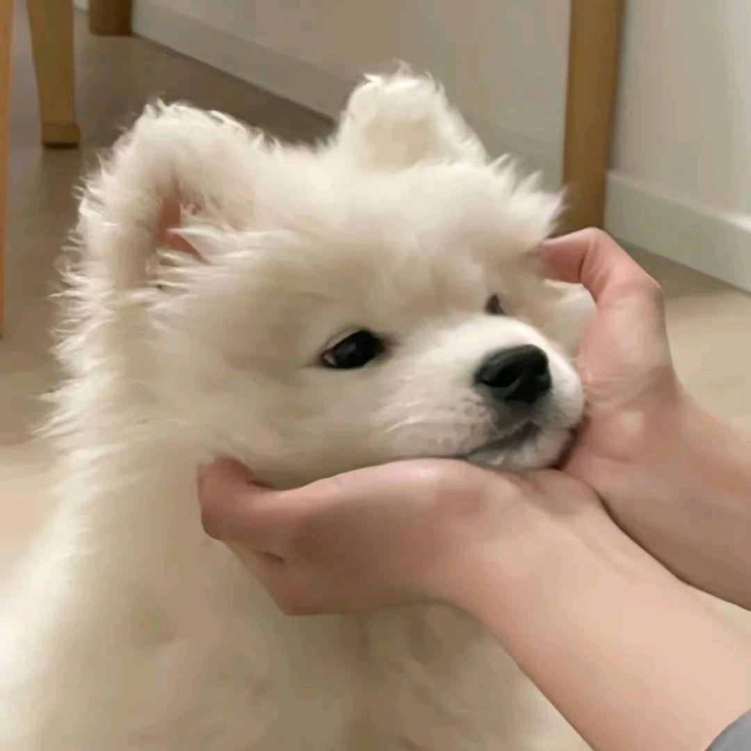 Ti莹