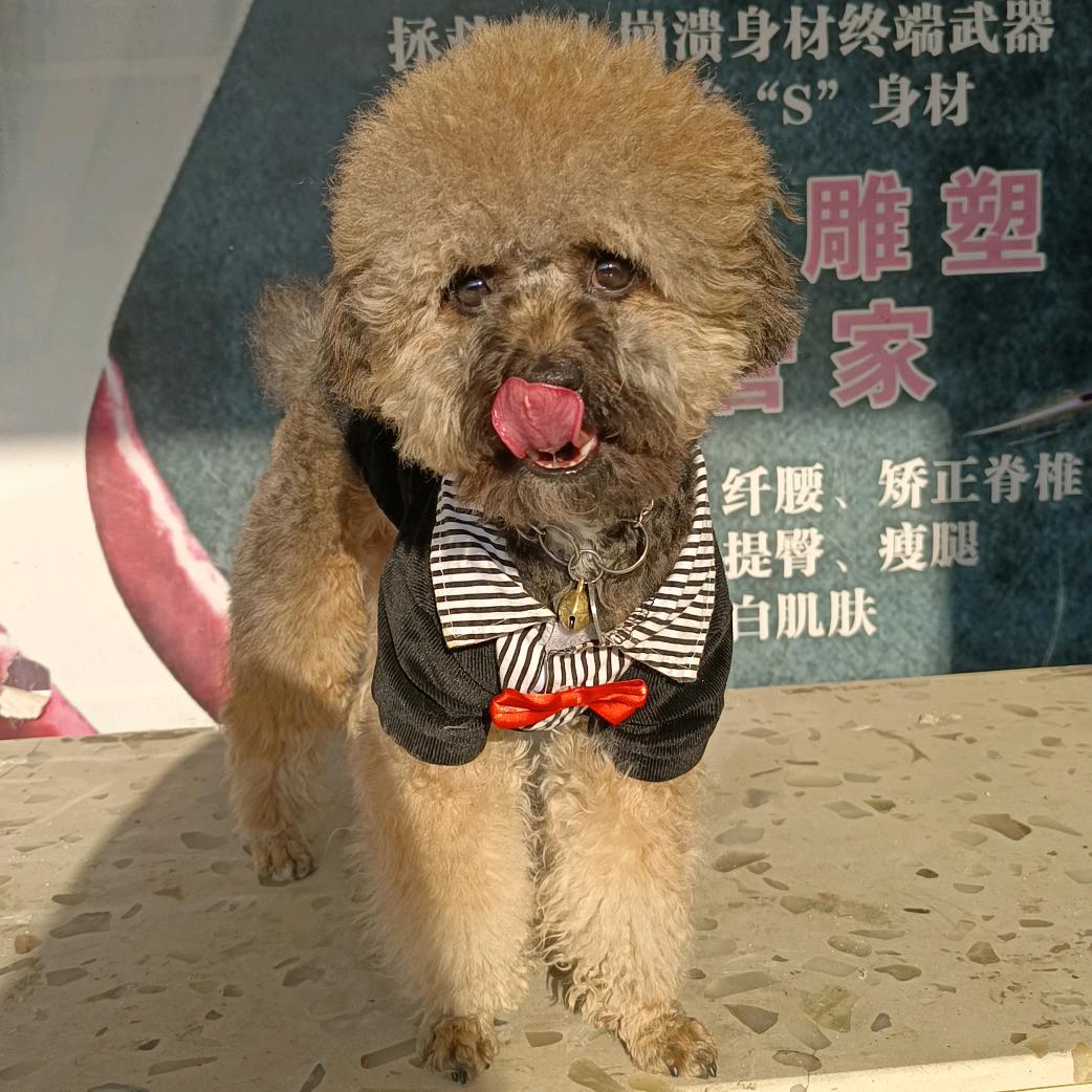 不丢不再丢┃