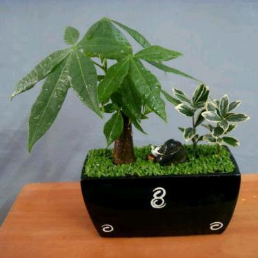 ☘🍃一☘范✪ω✪风🌿顺🍃🍃🍃