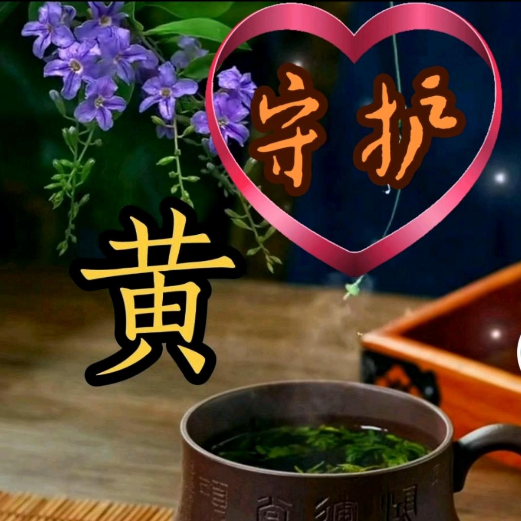 守👪护