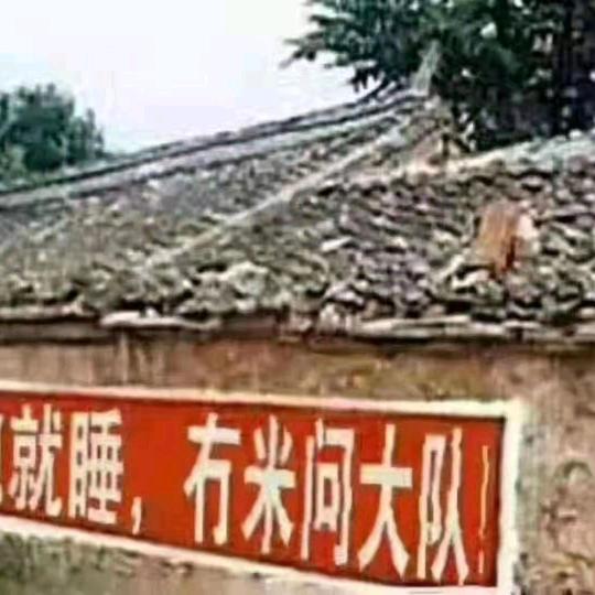 喂!来一碗牛肉面