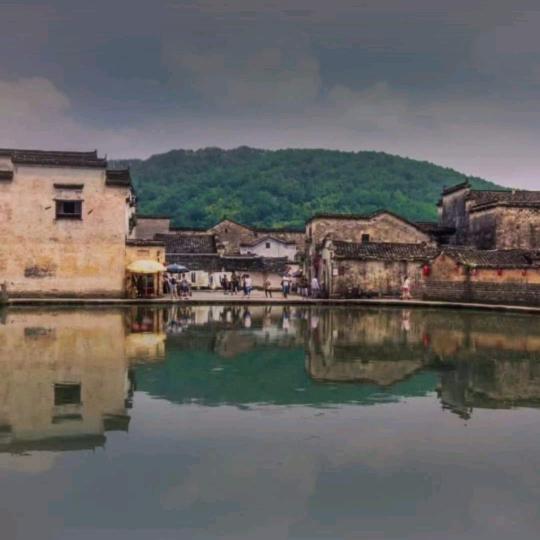 花繁星落，桐妤