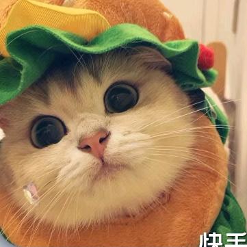 @文文吖