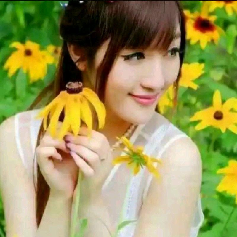 爱恨随意