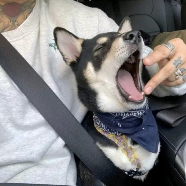 ʟʟʟ