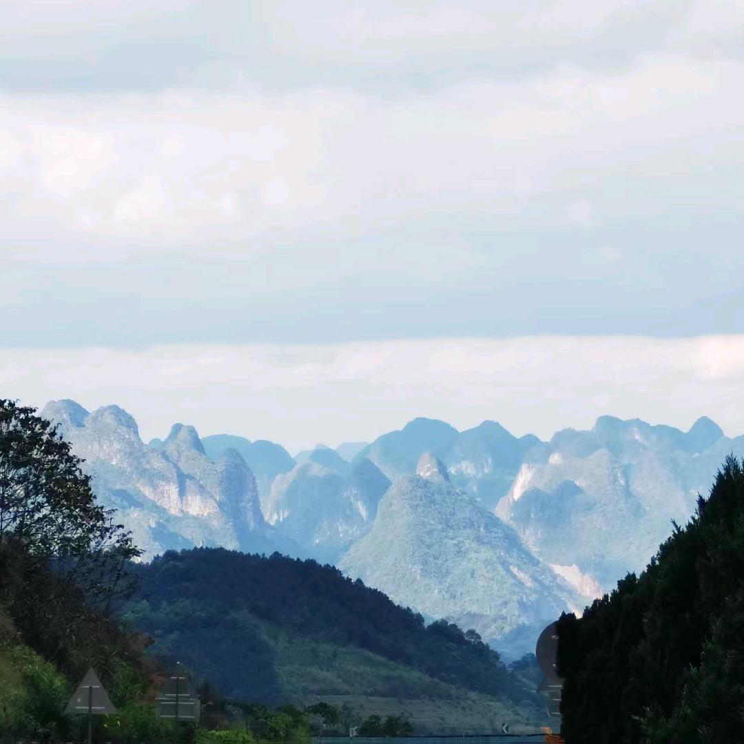 龙在江湖节节高