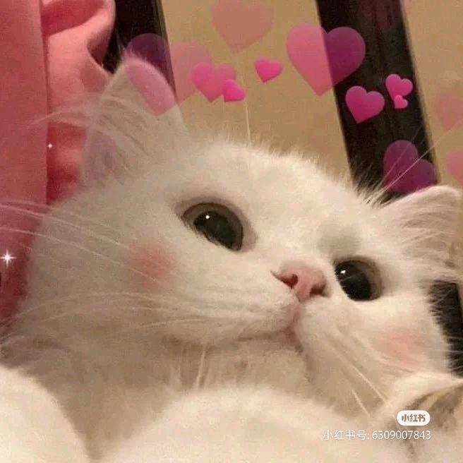 好韵