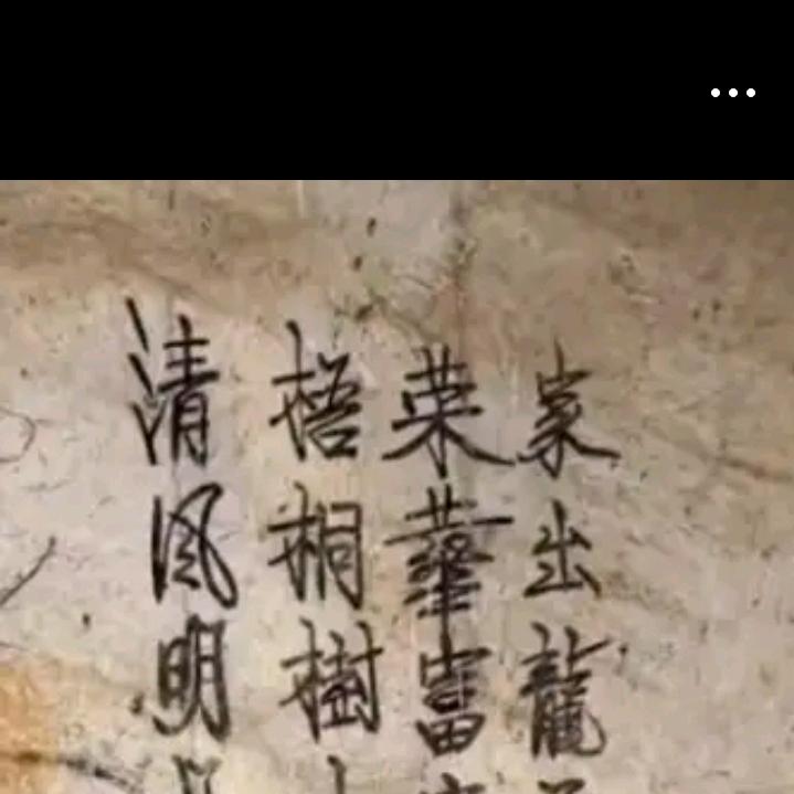 植物志
