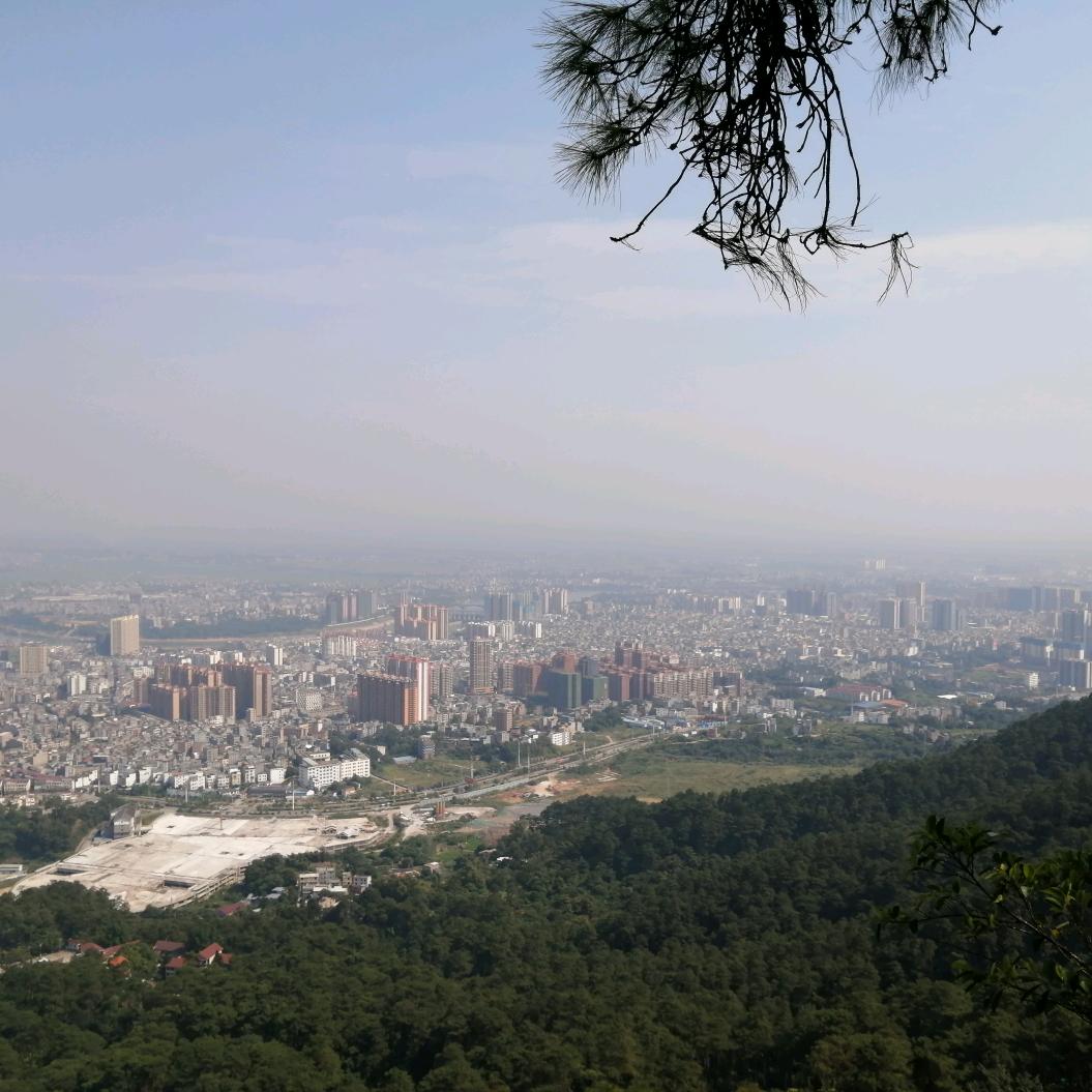 农村小伙 阿达