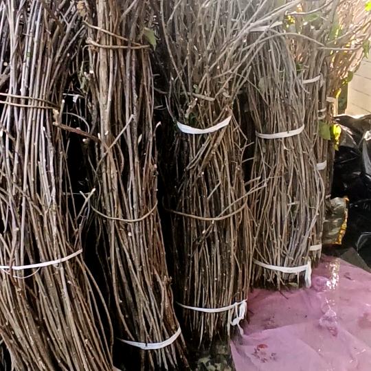 靠人不如靠自己