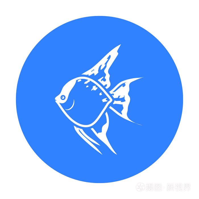 阿呆水族