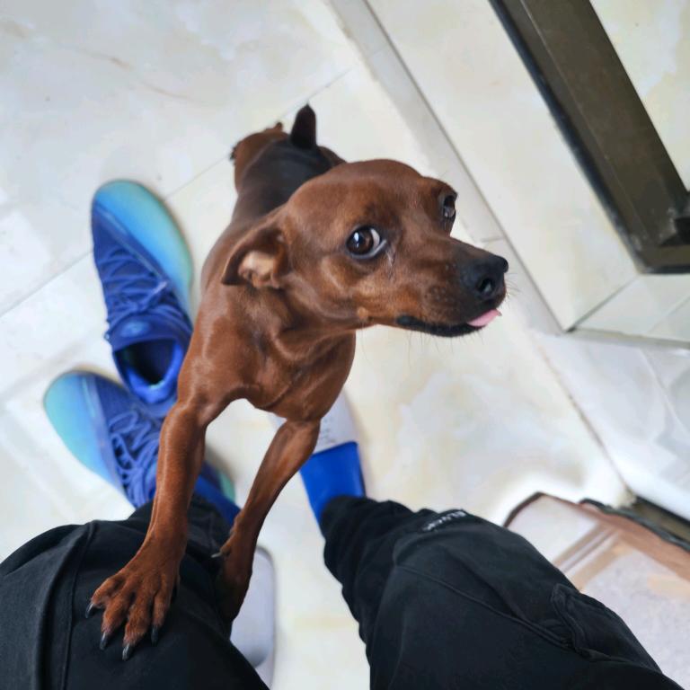 年纪有点大的小伙子i