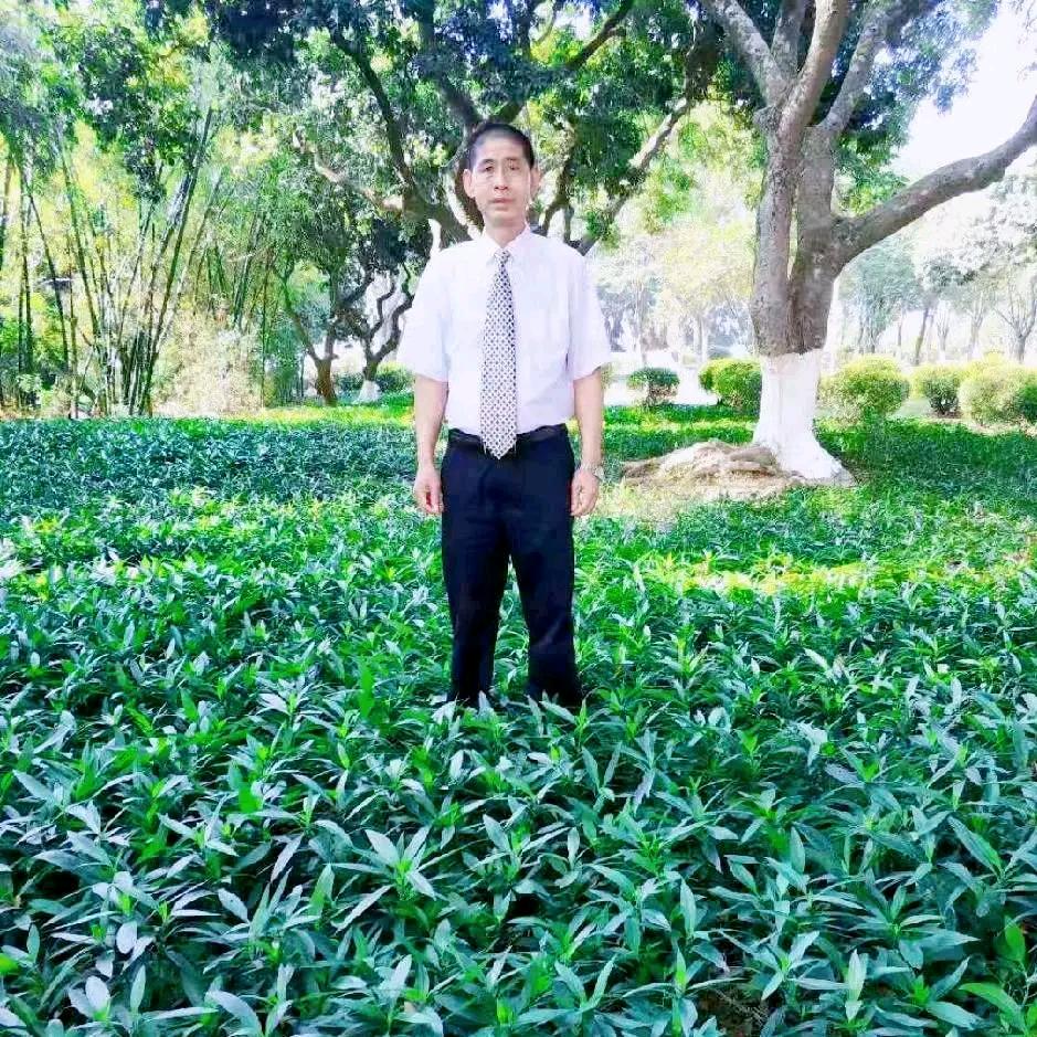 @南雄牛哥
