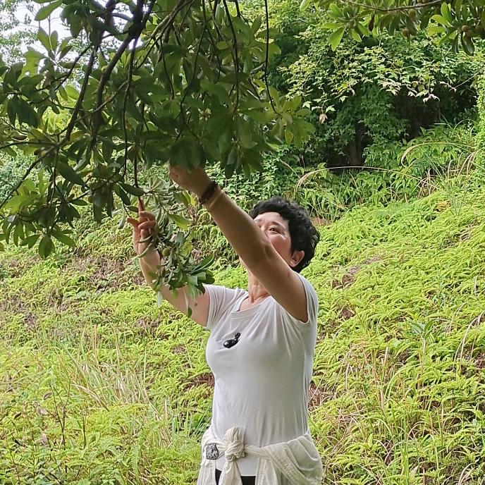 芬姐(仙居杨梅)上热门不定时直播