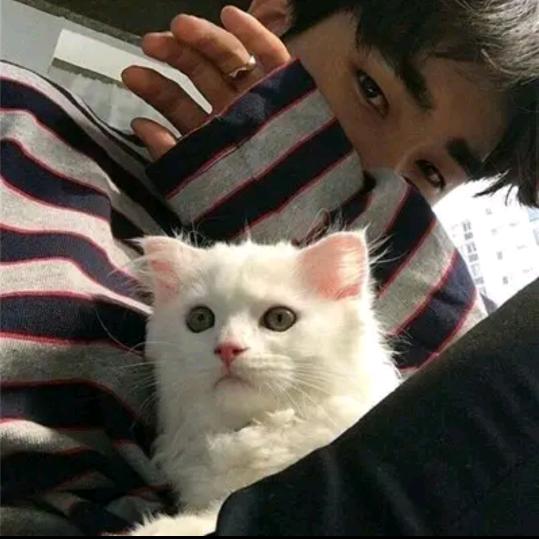 暗里着迷