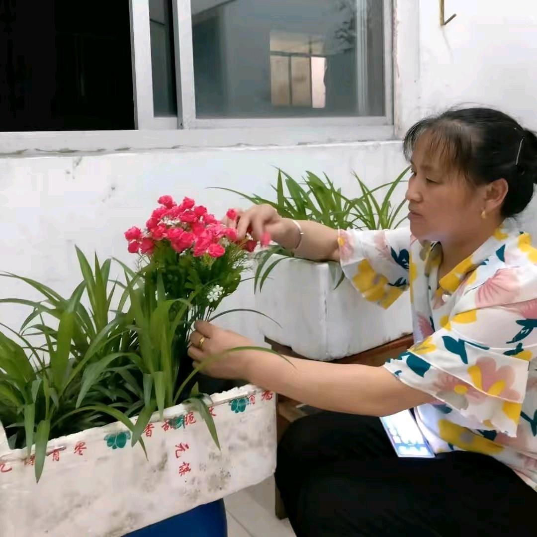 罗姐