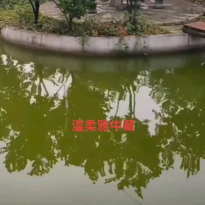 男神