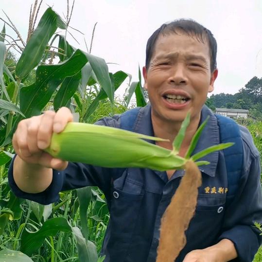 @强哥农产品