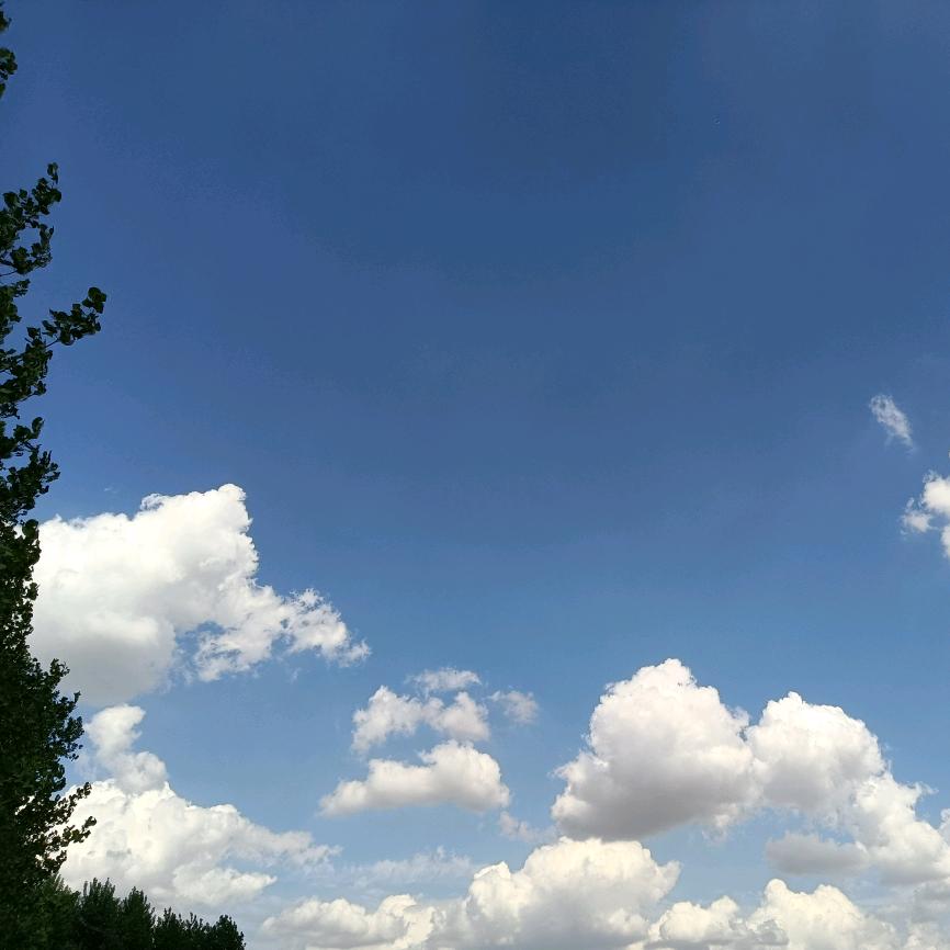 大小白