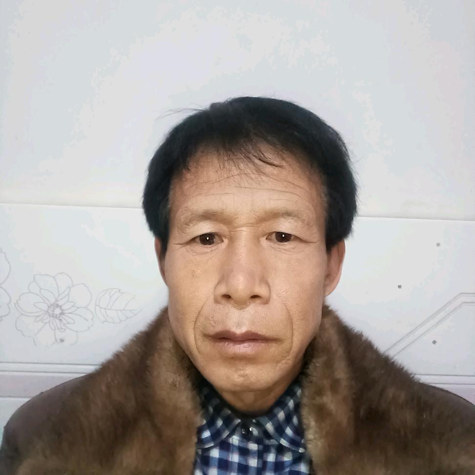 为你停刘
