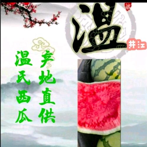 温氏西瓜🍉代发团购批发
